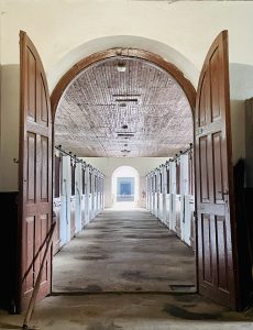 Janów Podlaski Stud – photo 4