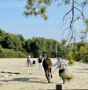 Jadamovo Stud – photo 3