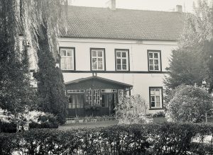 Liski Stud – photo 2