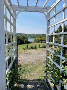 Jadamovo Stud – photo 4