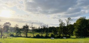 Walewice Stud – photo 8