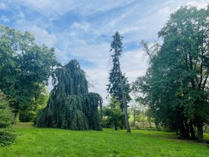 Walewice Stud – photo 5
