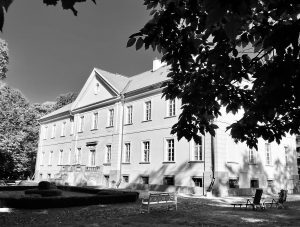 Eichmedien – photo 4