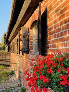 Galiny – photo 2