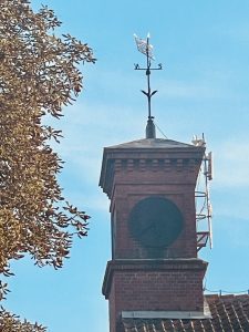 Liski Stud – photo 1