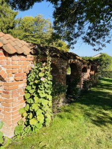 Eichmedien – photo 6