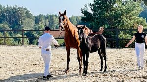 Jadamovo Stud – photo 1
